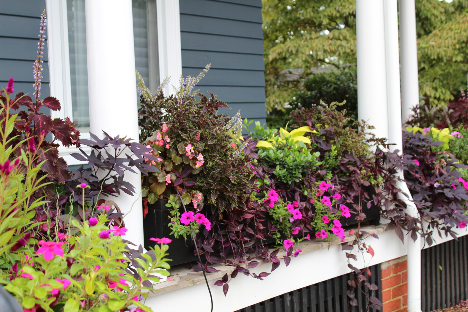 container plantings for a porch railing