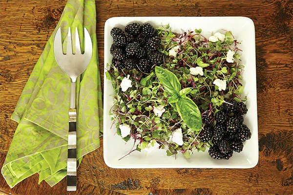James Farmer recipes, blackberry salad