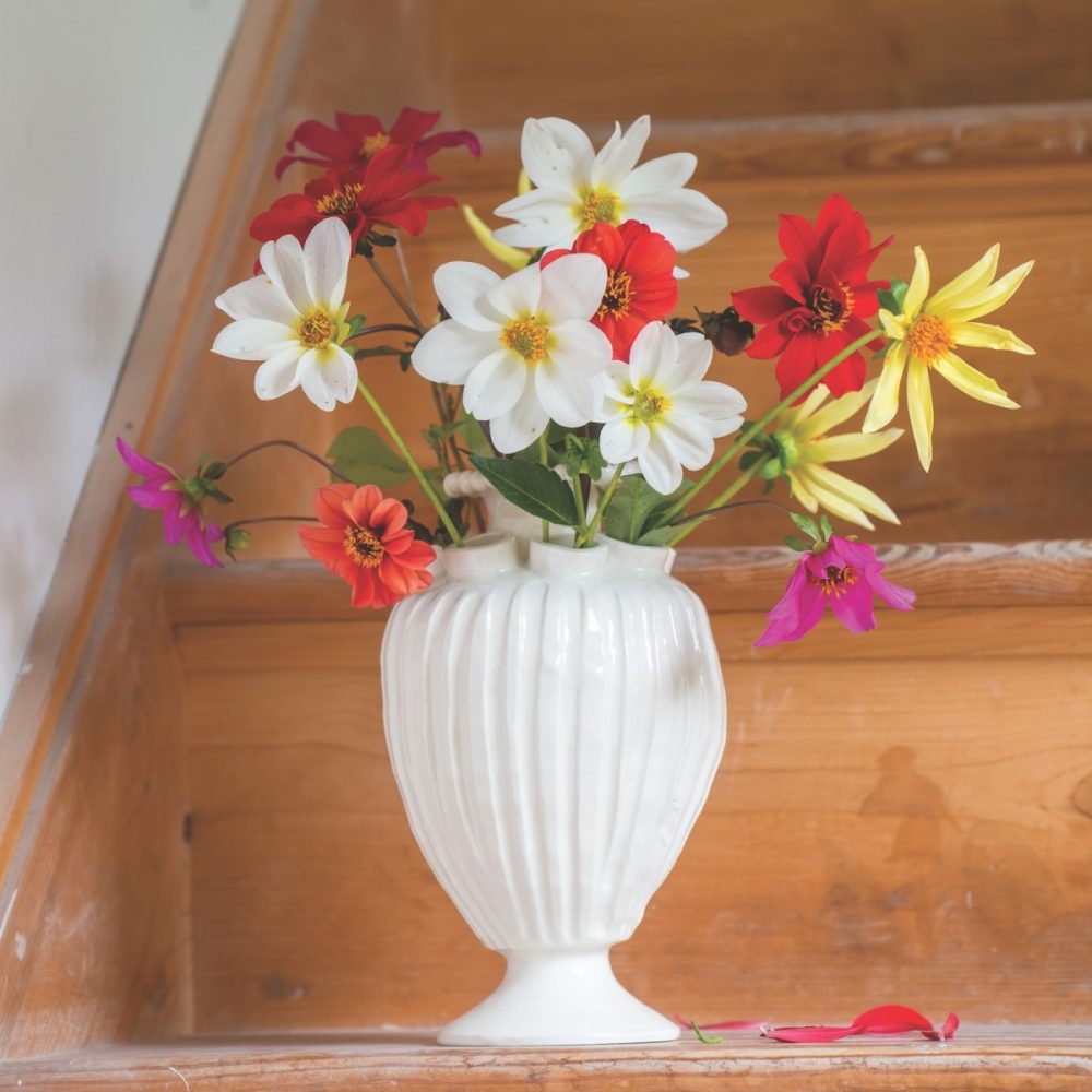 frances palmer ceramic vase filled with flowers from her dahlia garden