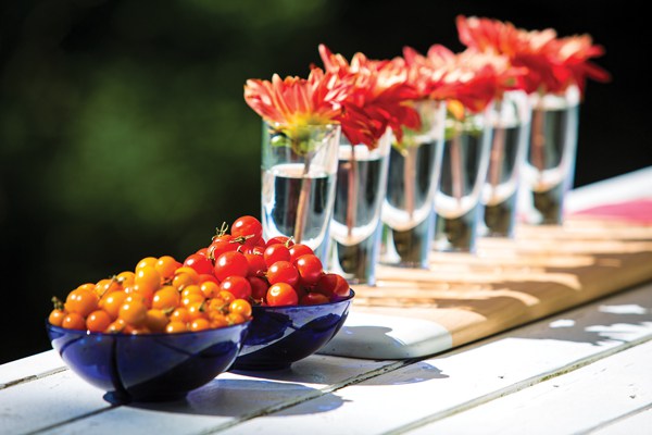 Bowls of tomatoes and single stems of dahlias arranged in drinking glasses