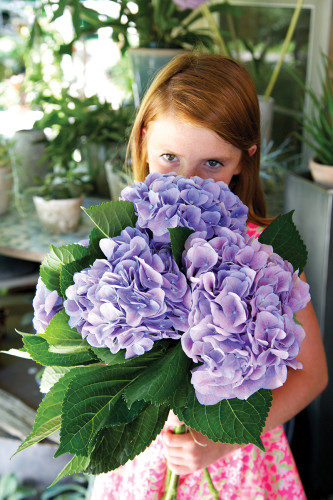 Eliza eyes a cluster of purple hydrangeas destined for a spot on the dessert table.