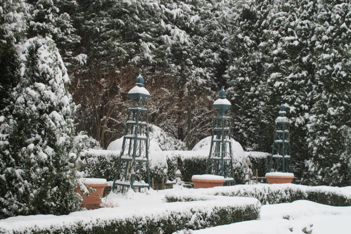 A fresh dusting of stone covers trees and tuteurs in a garden.