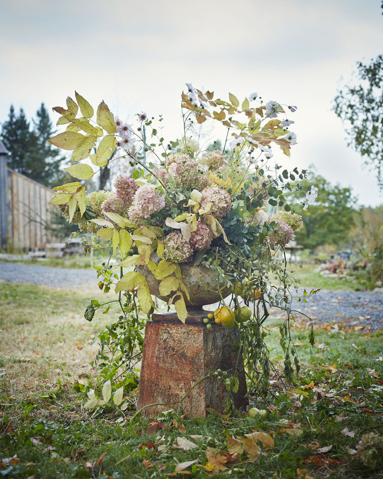 Wild autuman arrangement by Saipua featuring trailing vines and branches