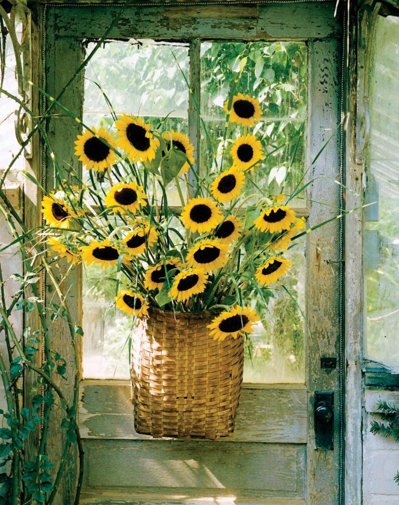 basket flower arrangements