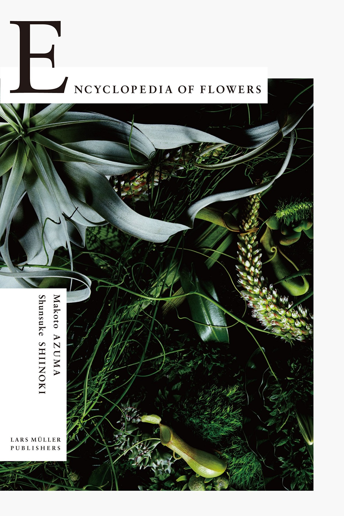 azuma makoto encyclopedia of flowers