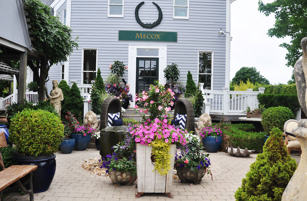 Patio with containers of shrubs and flowers at MECOX in South Hampton