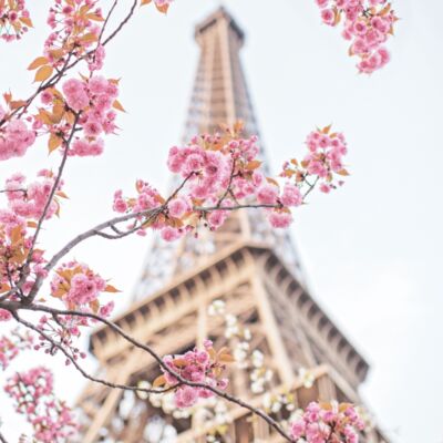 ParisInBloom_p006-Flowermag_1500x1908