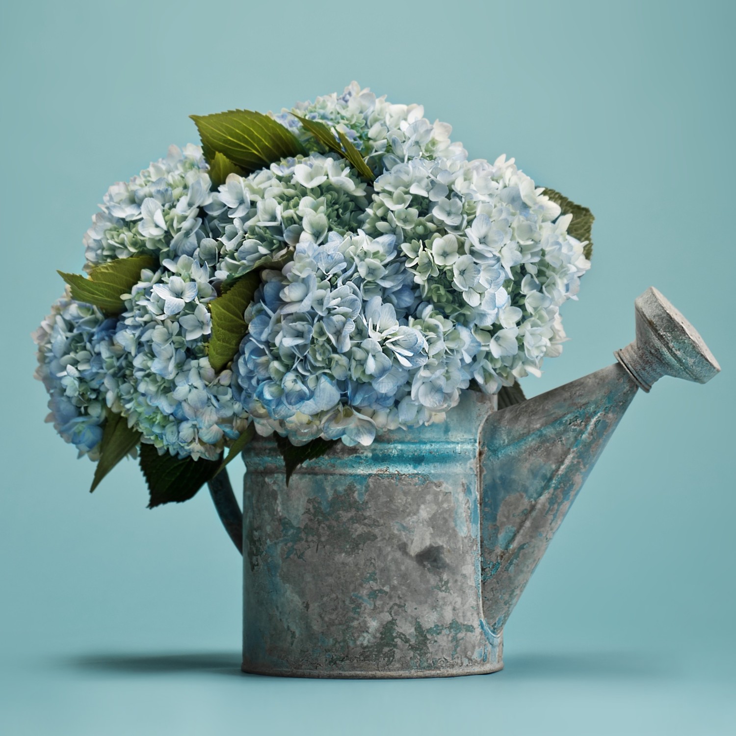 Our Favorite Hydrangea Arrangements Flower Magazine