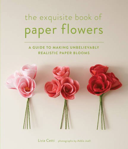 cover - The Exquisite Book of Paper Flowers