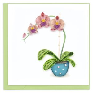 Quilled paper potted moth orchid from Quilling Card