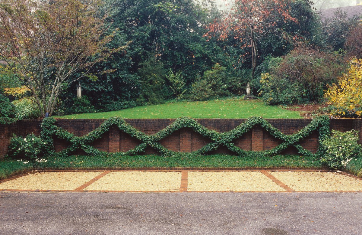 A crisscross pattern of Confederate jasmine graces the wall of the parking court.