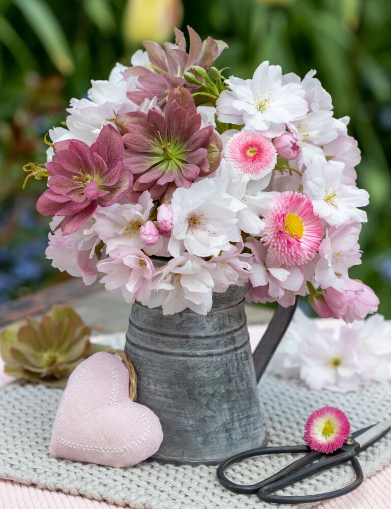 Galvanized metal pitcher filled with hellebores, crab apple flowers, and English daisies.