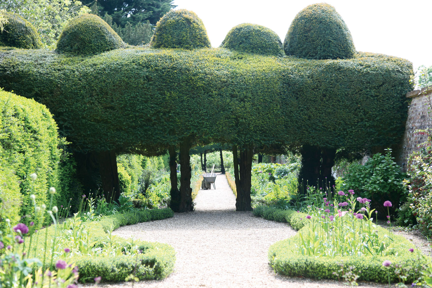 Kelmarsh gardens, topiary