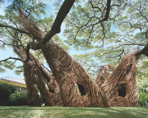 Into the Woods with Patrick Dougherty - Flower Magazine