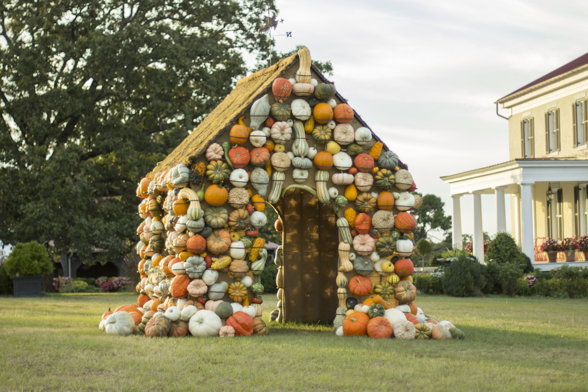 ornamental pumpkins, pumpkin house
