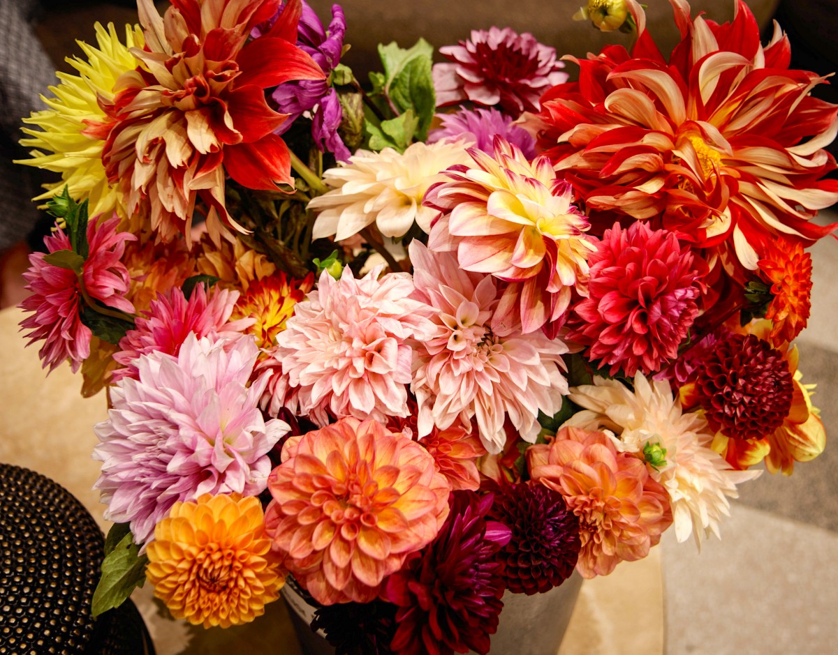 Flowers and Fun at the Fall Symposium - Flower Magazine