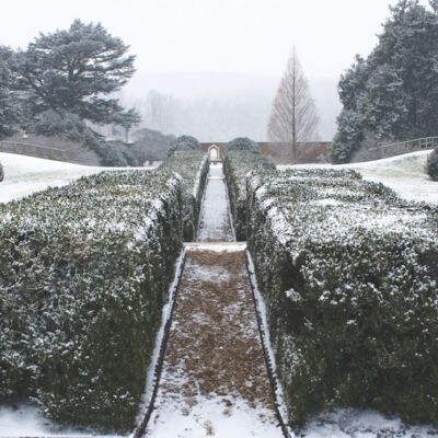 Montpelier, wintertime gardens