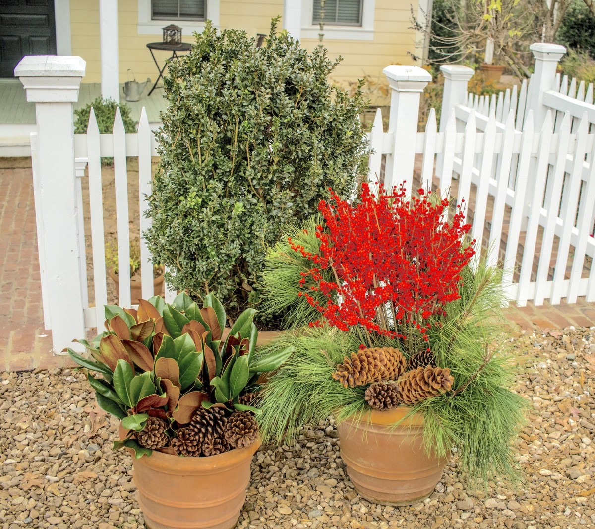 Easy Evergreen Containers for the Holidays Flower Magazine