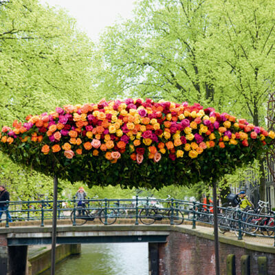 Abstract fish sculpture made out of roses for Shop for a Week, Prinsengracht, Amsterdam, 2009, by Florian Seyd and Ueli Signer of The Wunderkammer. (Courtesy of The Wunderkammer/Jeannine Govaers)