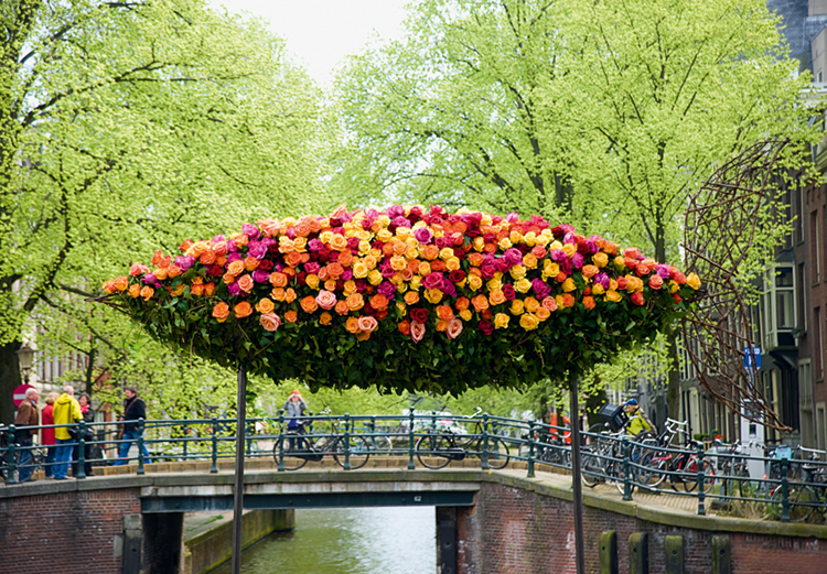 Public floral display of an Amsterdam canal featured in Blooms
