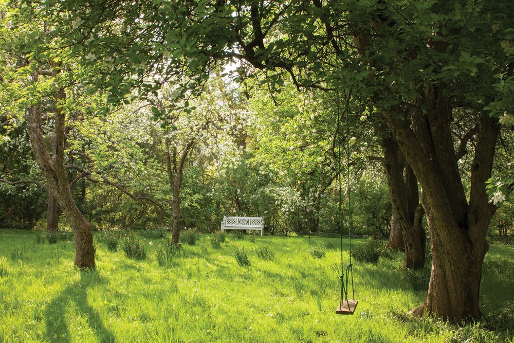 Dappled sun falls on Melissa McGrain's orchard, designed by the late Fletcher Steele. A white wooden bench and a tree swing provide a respite.