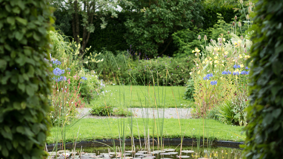 Photo of a pond filled with lily pads at Author Shackleton's home garden at Fruitlawn in Ireland