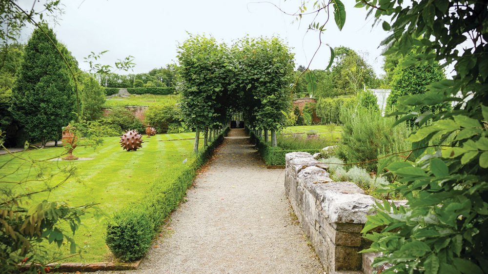 Photo of a hornbeam tunnel dividing an expanse of lawn at Dromoland in Ireland.