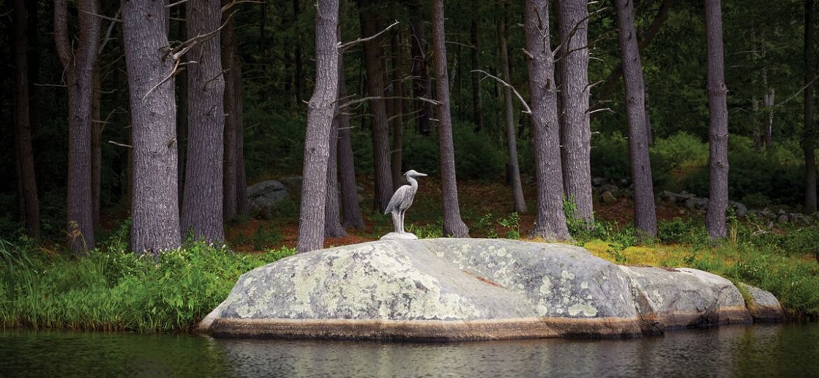 Pennoyer Newman replicated a sculpture by 19th-century American landscape painter Frederick Church for the lightweight and durable Great Blue Heron, suitable for a garden or pond. The company donated its first replica of the bird to the North Shore Wildlife Sanctuary on Long Island.