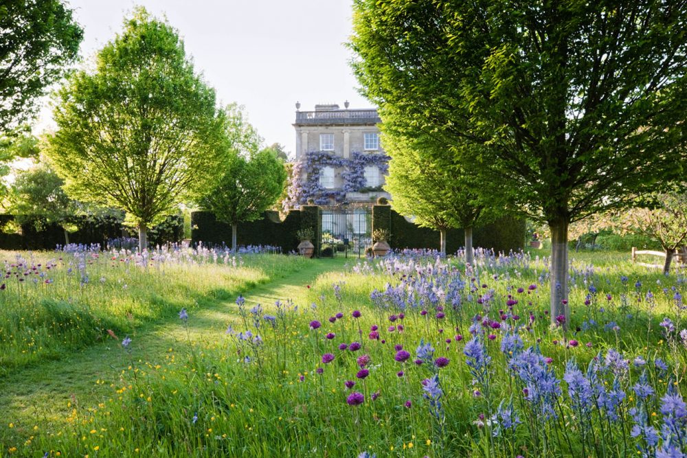 The Wild Flower Meadow at Highgrove House in May 2009. Highgrove is the private home of The Prince of Wales and The Duchess of Cornwall. Photo submitted
