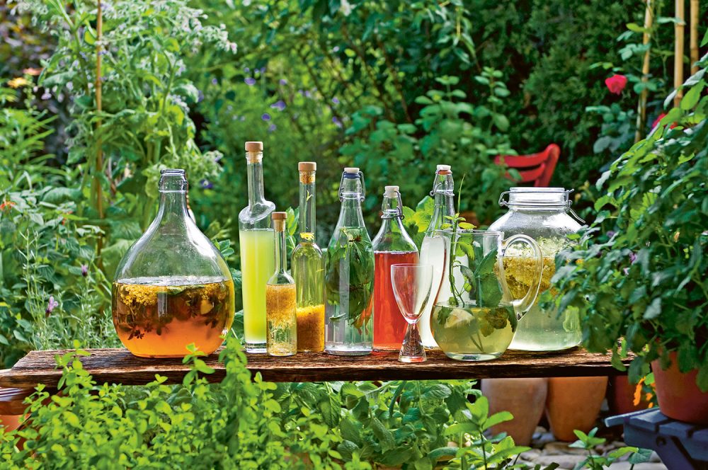 A table in the middle of a lush green garden displays an assortment mocktails in unique glass containers