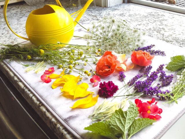 Edible flowers ready for ice cubes. Photo via @dani_in_california and @magnolias_yarden on Instagram