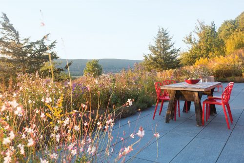 Red metal chairs around the patio table add a bright pop of color amongst the soft colors of the meadow landscape design.