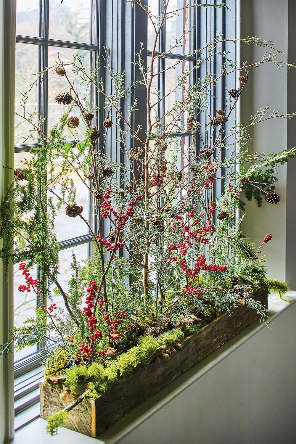 In a bright windowsill, an airy, tall arrangement of ilex berries, pine, and other branches of greenery spring from a rustic long wood box that is bedded with moss.