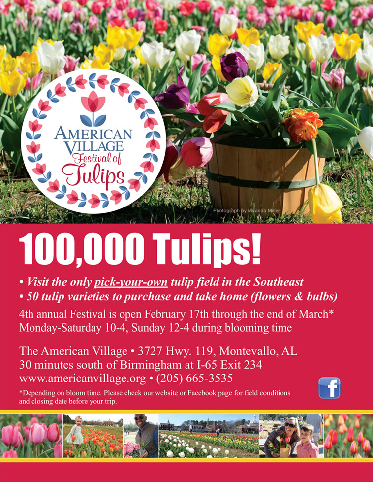 American Village Festival of Tulips Montevallo, AL Flower Magazine