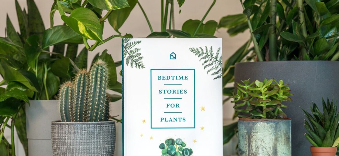 Book cover for Bedtime Stories for Plants