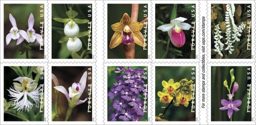 The 10 designs in the new USPS collection of wild orchid stamps