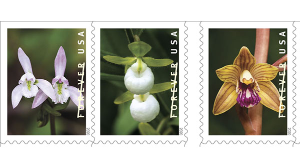 wild orchids forever stamps