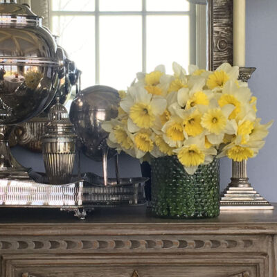 daffodils, East Hampton home of Marshall Watson