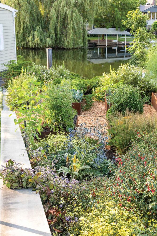 Garden at edge of Canal in Washington state. Raised, corten steel beds hold lush plantings.