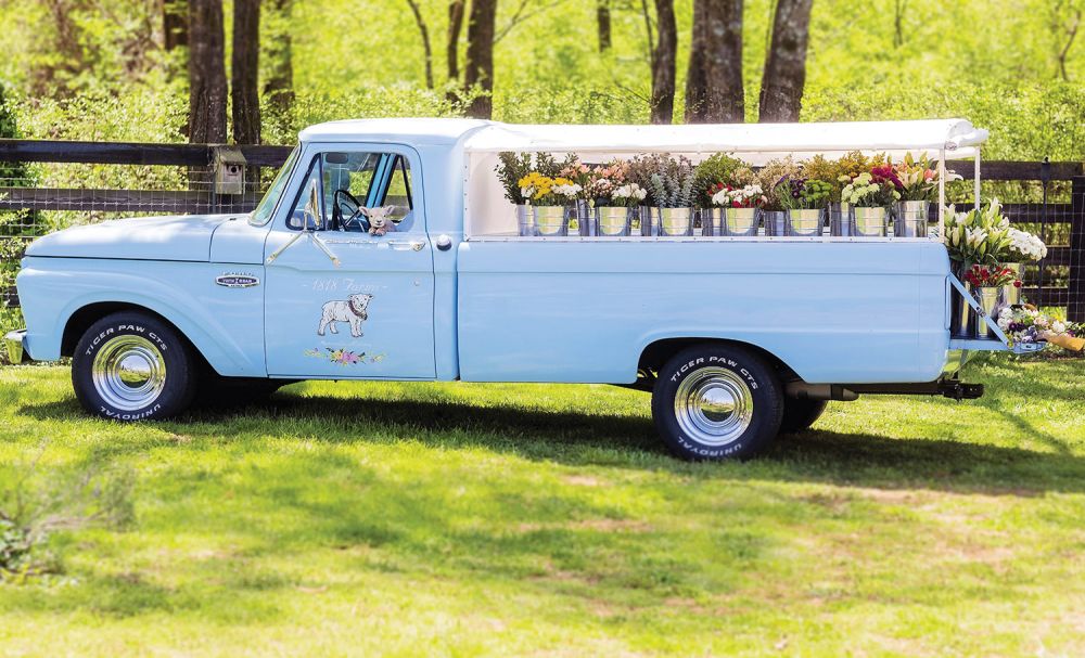 Baby blue truck filled with flowers in a green pasture.