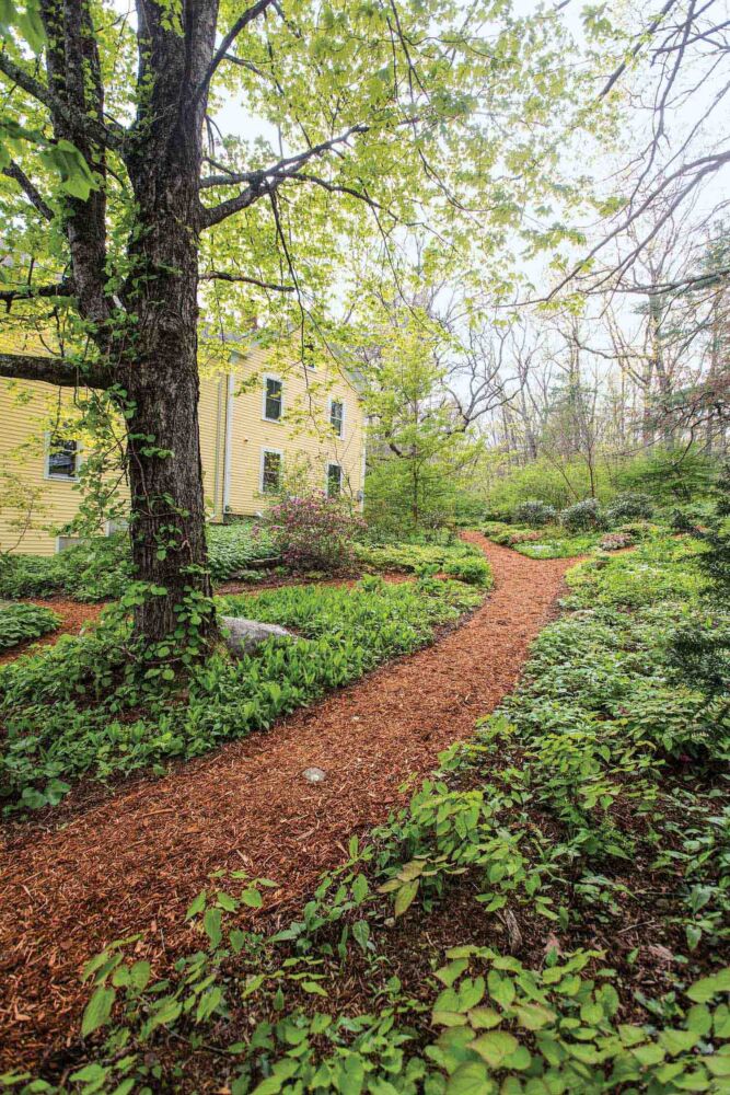 A brown mulch path leads to a yellow house sitting among a leafy garden.