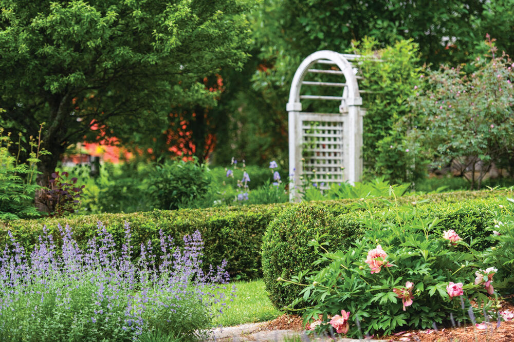 An arbor covered in ‘Ghislaine de Féligonde’ roses leads into the boxwood garden accented by Hillary Itoh peonies.