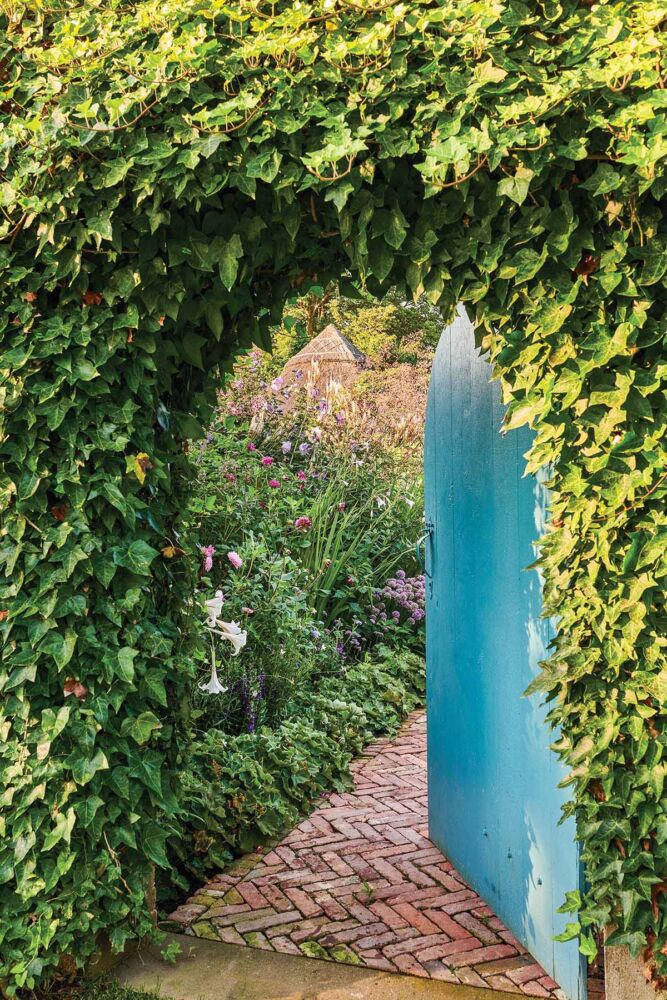 A bright turquoise door opens in the middle of a leafy hedge to a brick pathway, evoking memories of THE SECRET GARDEN.