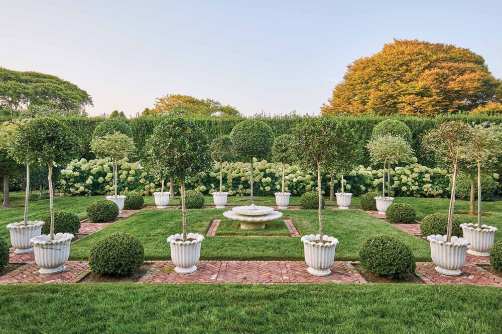 Trees potted in white urns line a brick pathway inside a green grassed garden.