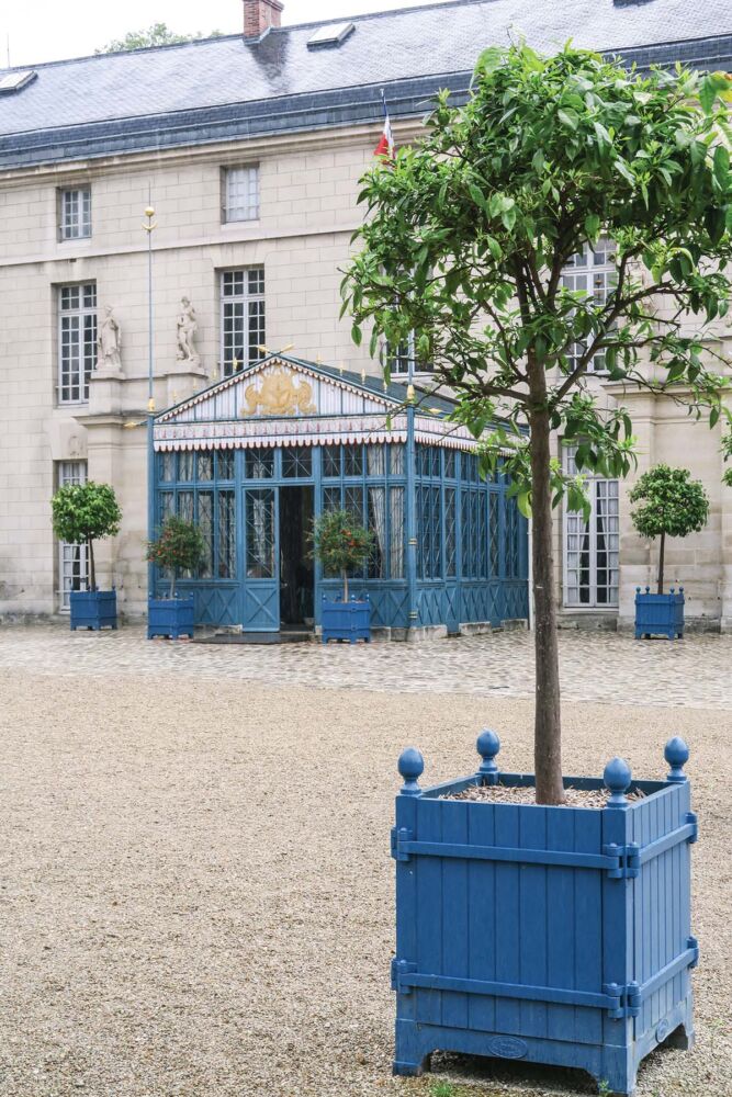An orange tree sits in a cobalt blue wooden stand in front of the entrance to Malmaison.
