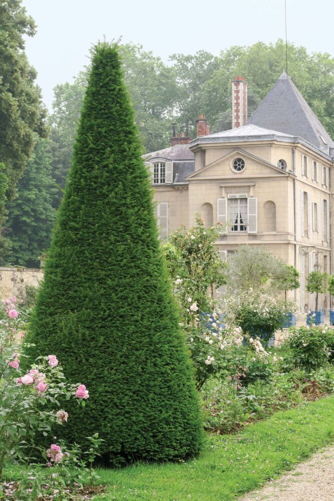 A green yew sits in front of the 18th century limestone Malmaison.