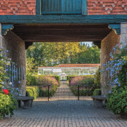 Entrance to the walled garden at Eythrope, flanked by pots of blue Plumbago and scarlet Palangonium