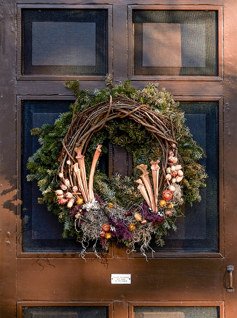 Mushrooms, moss, and weeds cover twigs on an evergreen wreath.