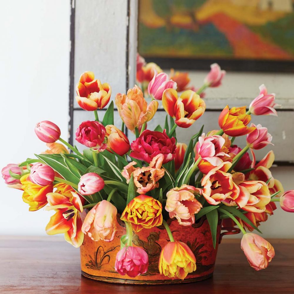 A simple tulip arrangement by floral designer Mimi Brown in a tole cachepot 
