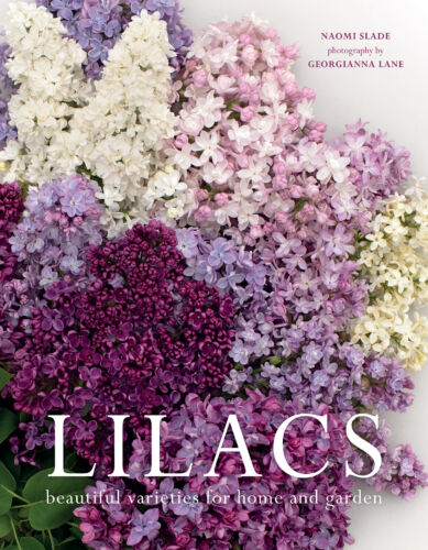 Lilacs book by Naomi Slade